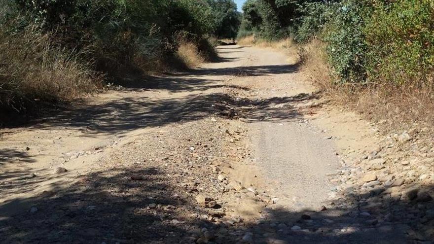 El PSOE de Trujillo demanda la mejora de caminos «intransitables»
