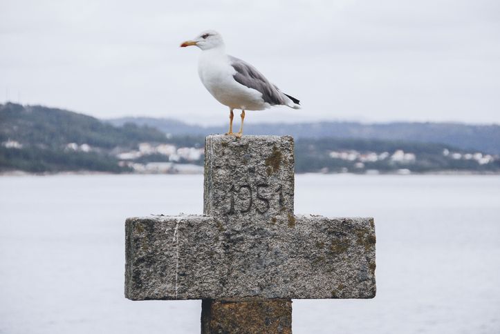 A Creta es un lugar ideal para los amantes de la ornitología.