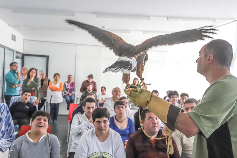 Aves rapaces forman parte de un programa educativo