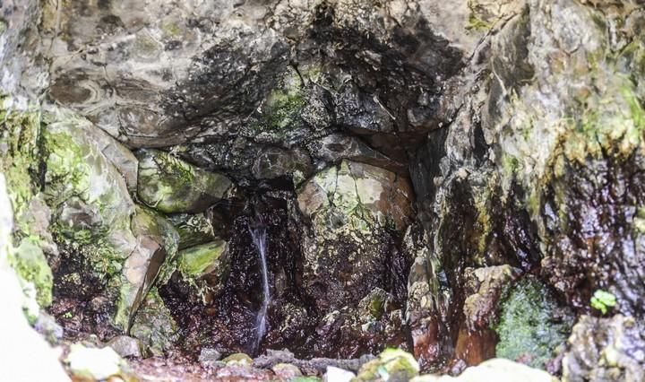 NACIENTES DE AGUA EN EL BARRANCO DE LA VIRGEN