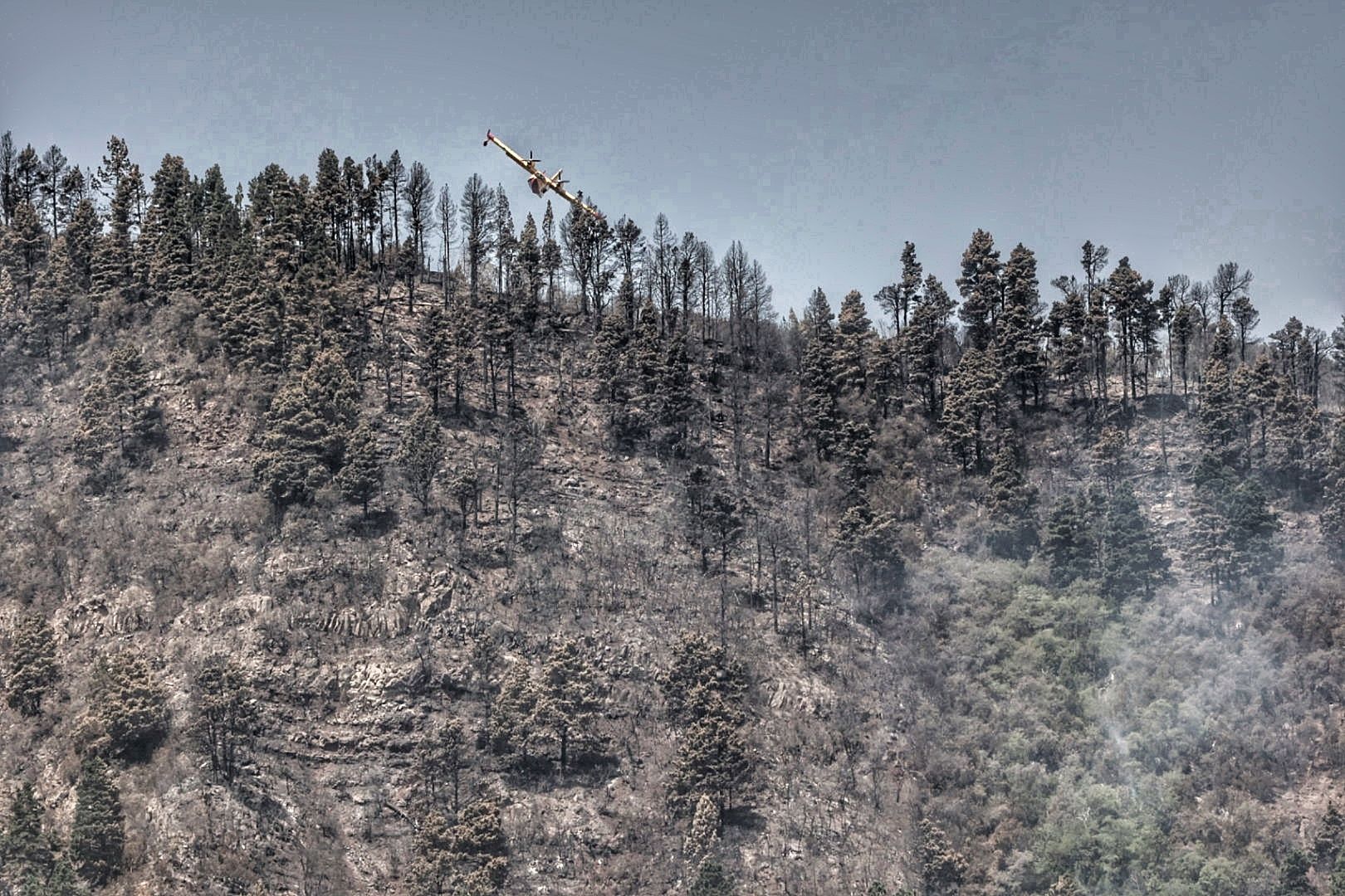 Siguen las tareas de extinción del incendio de Tenerife