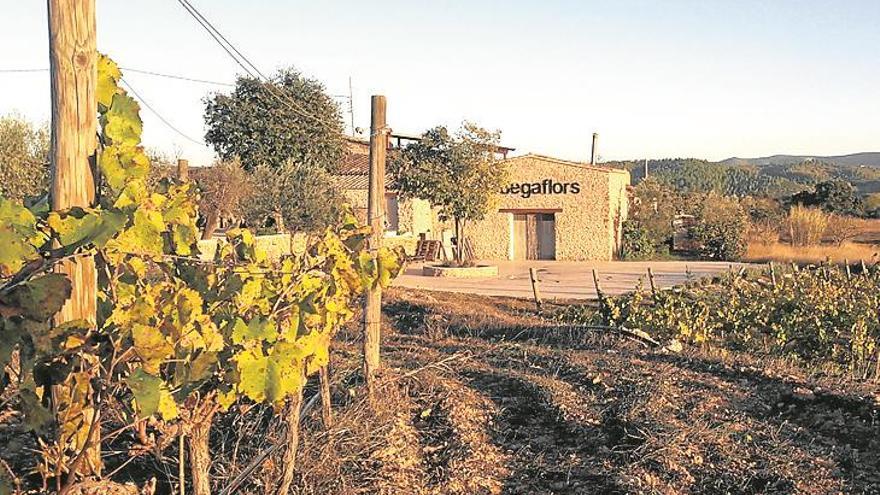 Bodega Flors ofrece visitas guiadas a sus instalaciones