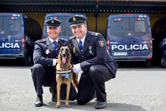 Dia de la Policia