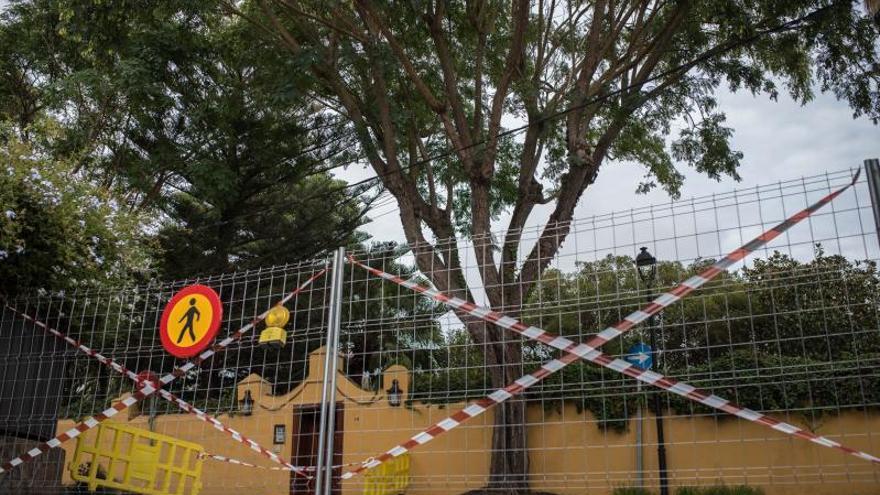 Obras en la calle Concepción Salazar que han generado polémica.