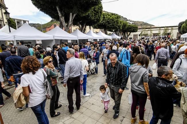 FIESTA DEL QUESO EN SANTA MARIA DE GUIA