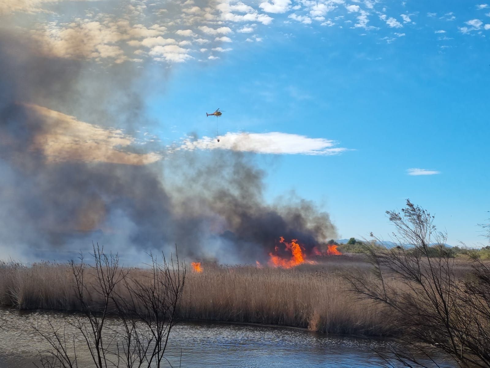 Incendi de matolls a l'Estartit