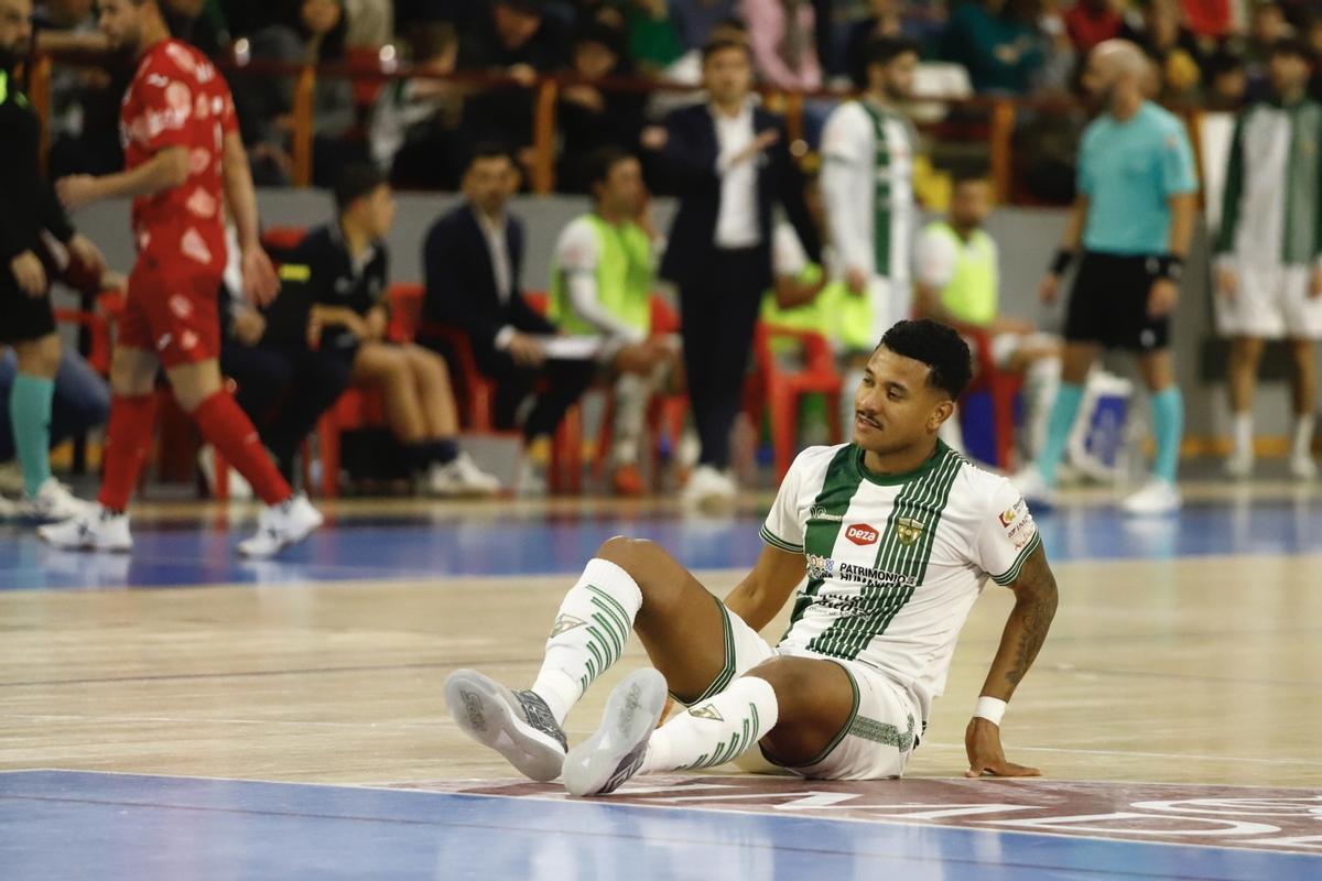 Córdoba Futsal-ElPozo Murcia | Las imágenes del partido en el Palacio Vista Alegre Córdoba Futsal-ElPozo Murcia | Las imágenes del partido en el Palacio Vista Alegre