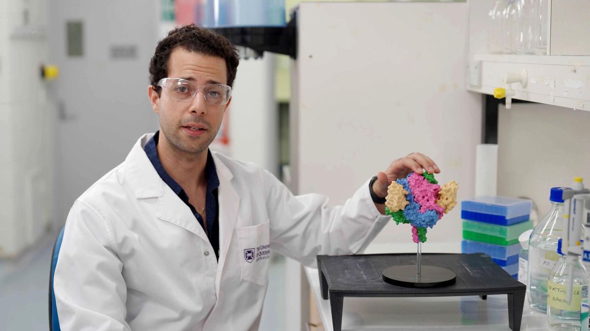Ariel Isaacs, dotor de la Universitat de Queensland, amb un model del nanocos DS90 unit a una proteïna de fusió del virus Nipah