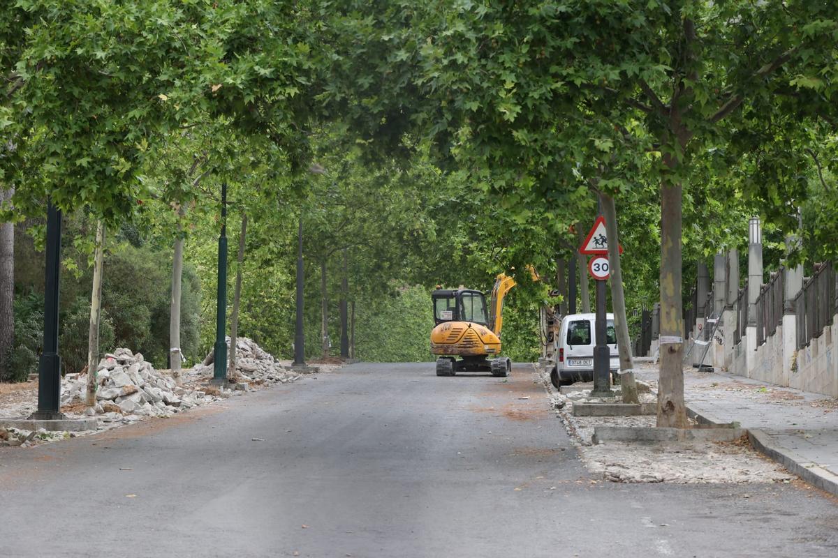 Los trabajos han obligado a cortar al calle