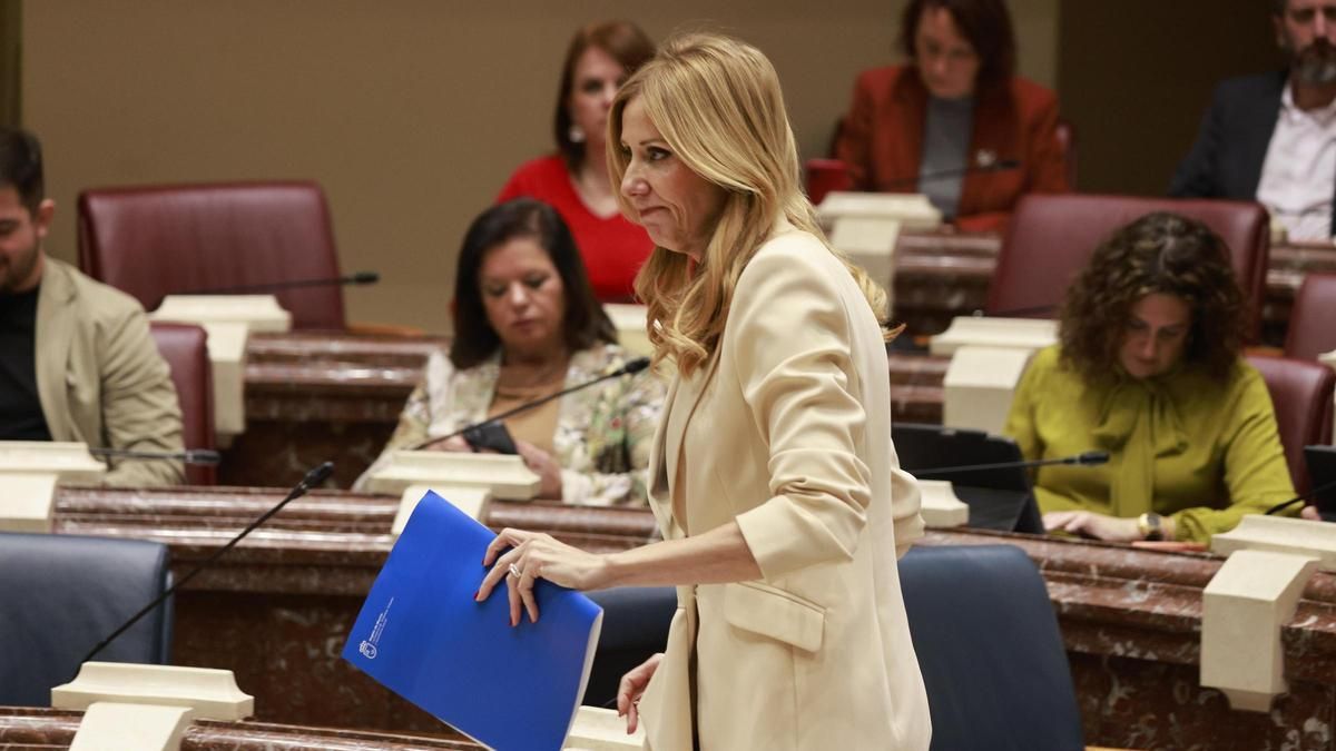 La consejera de Empresa, Empleo y Economía Social, Marisa López Aragón, este viernes en la Asamblea.