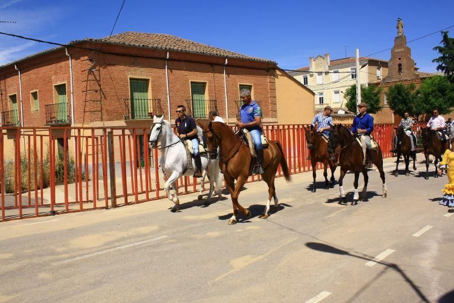 Feria del caballo en Fuentesaúco