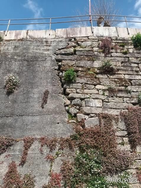 Transición entre el muro de hormigón, del que se desconoce el espesor, y el de mampostería.jpg