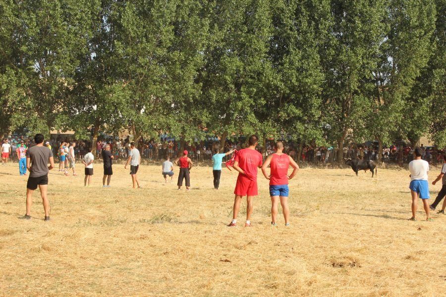 Fiestas en Zamora: Villamor de los Escuderos