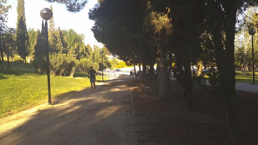 Zaragoza sale a la calle a correr