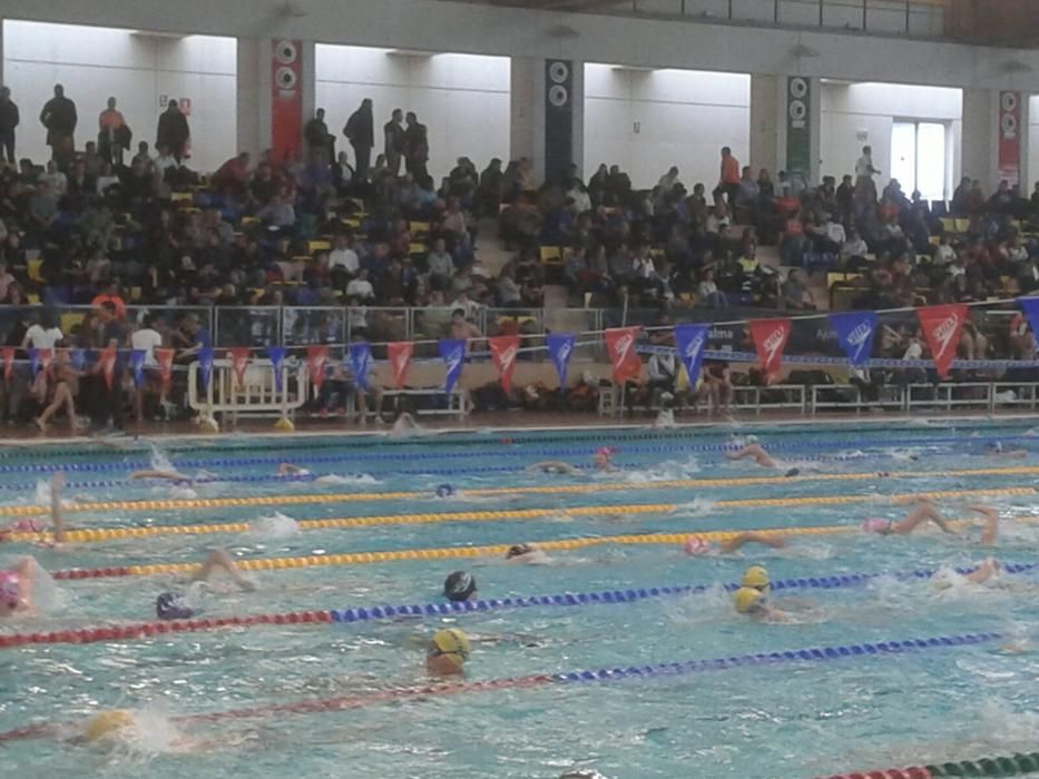 Trofeo Sant Sebastià de natación