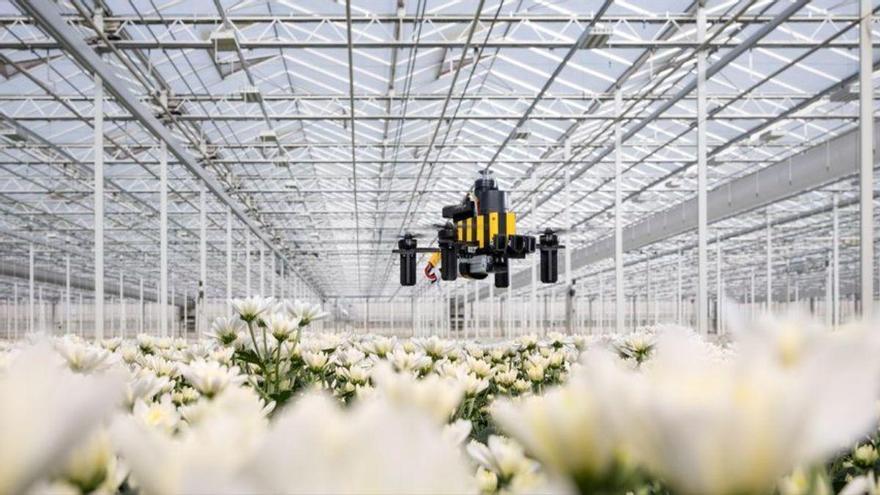 Pequeños drones robóticos aprenden a navegar como las abejas para volver a casa sin GPS