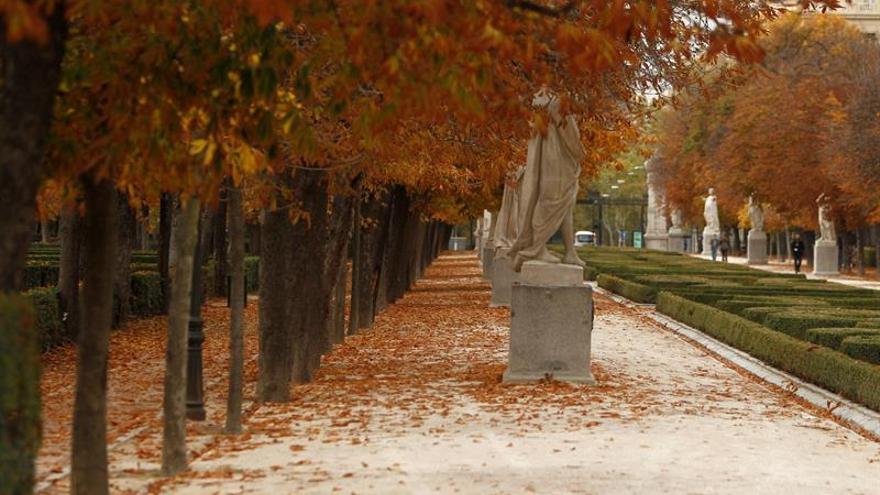 Muere un niño de 4 años tras caerle un árbol encima en el parque del Retiro