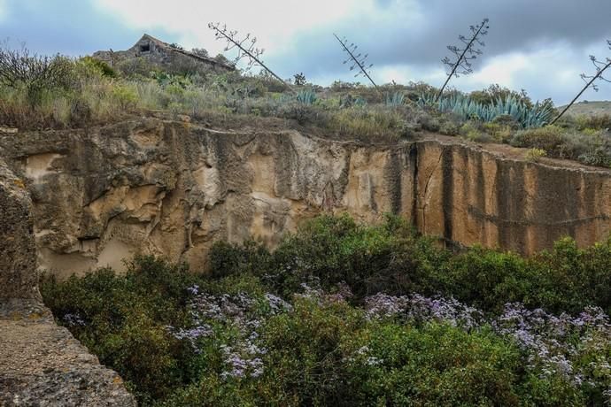 Las Palmas de Gran Canaria. yacimiento Lomo de San Gregorio, Ciudad del campo.  | 28/03/2019 | Fotógrafo: José Carlos Guerra