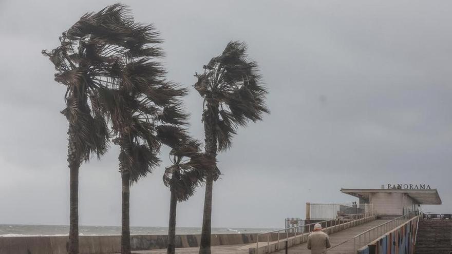 Aemet activa el aviso amarillo en la C. Valenciana por vendavales de más de 90 km/h que pueden dificultar hasta caminar