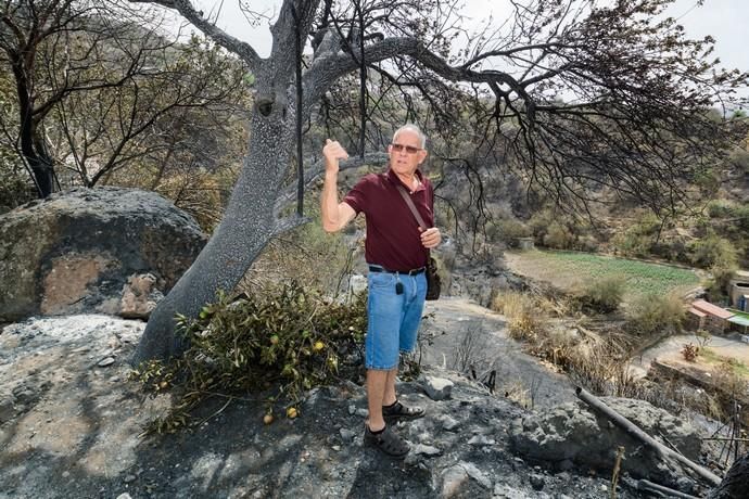 Restos del incendio en la cumbre  | 25/08/2019 | Fotógrafo: Tony Hernández