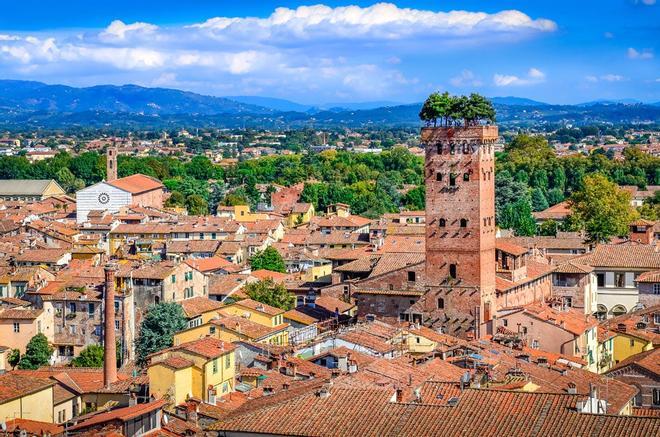 Torre Guinigi Lucca Italia