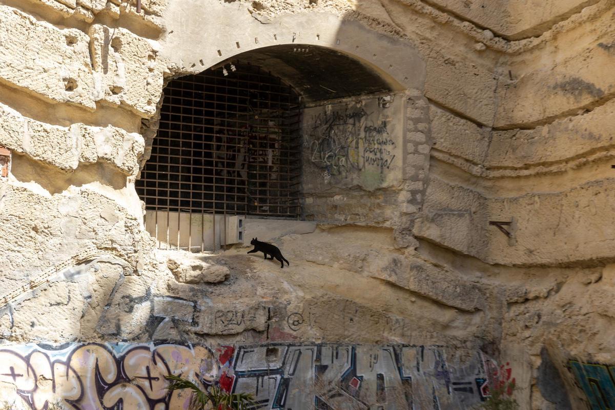 Uno de los accesos a la antigua refinería de La Británica, en la Serra Grossa.