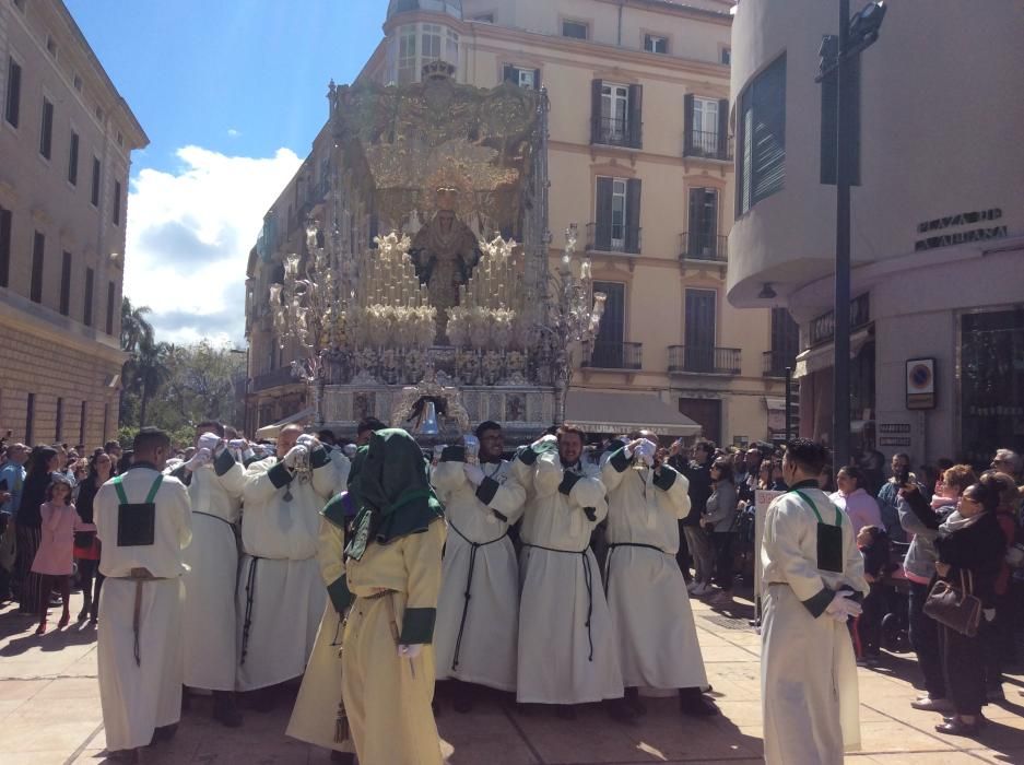 Domingo de Ramos | Pollinica