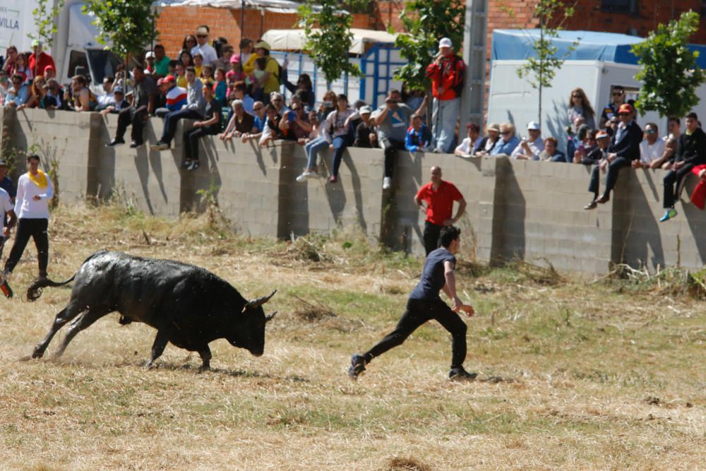 Espantes de Guarrate