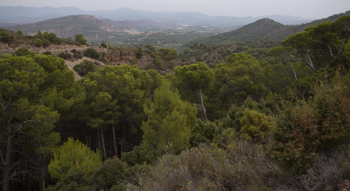 Vista de la Sierra Calderona.