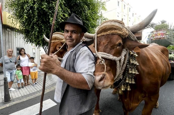 ROMERIA DE LOS DOLORES, SCHAMANN