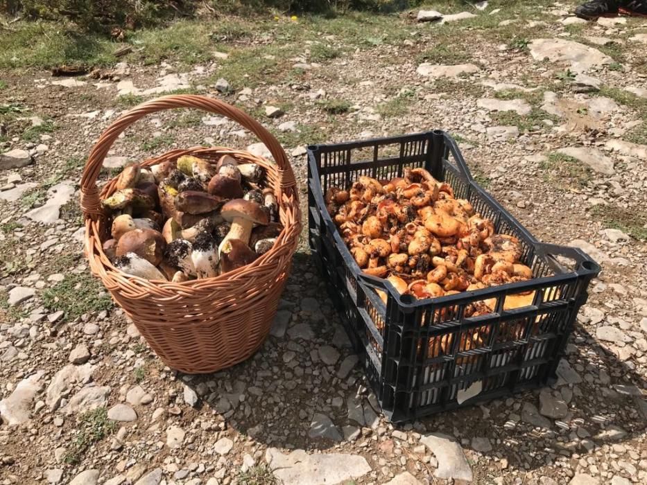 Una cistella i una caixa plenes (Berguedà)