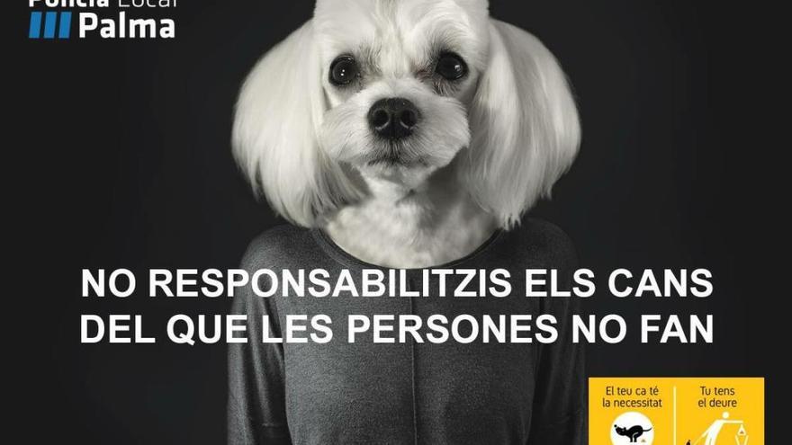 Polizei in Palma verschärft Kontrollen gegen Hundehalter