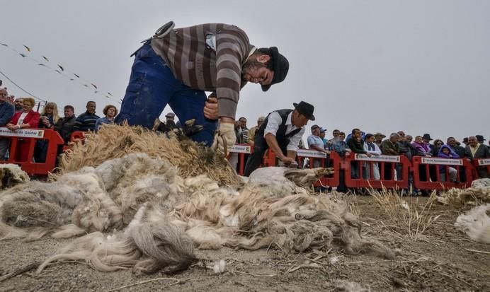 CAIDERO DE GÁLDAR A 30/05/2017. Día de Canarias en Caidero de Gáldar, Fiesta de la lana. FOTO: J.PÉREZ CURBELO