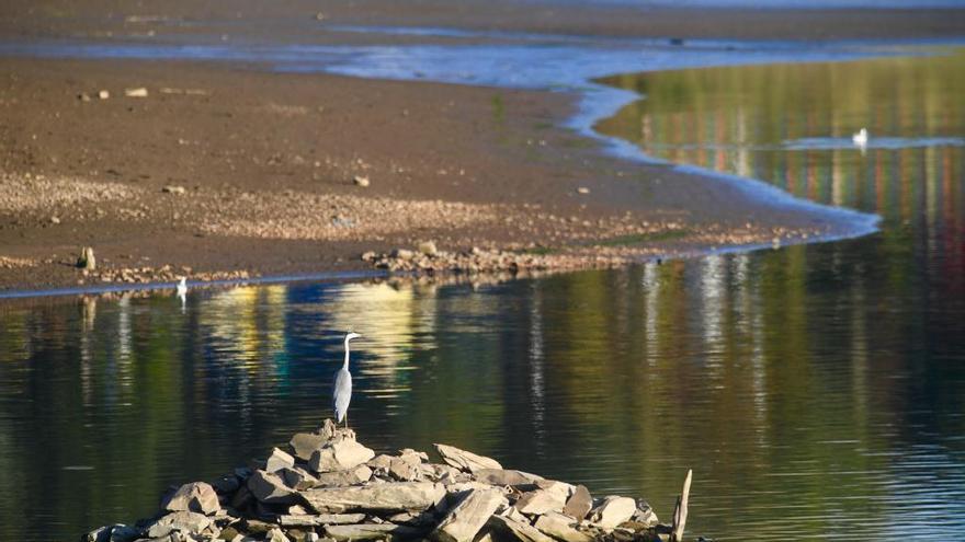 Embalse de Cecebre.