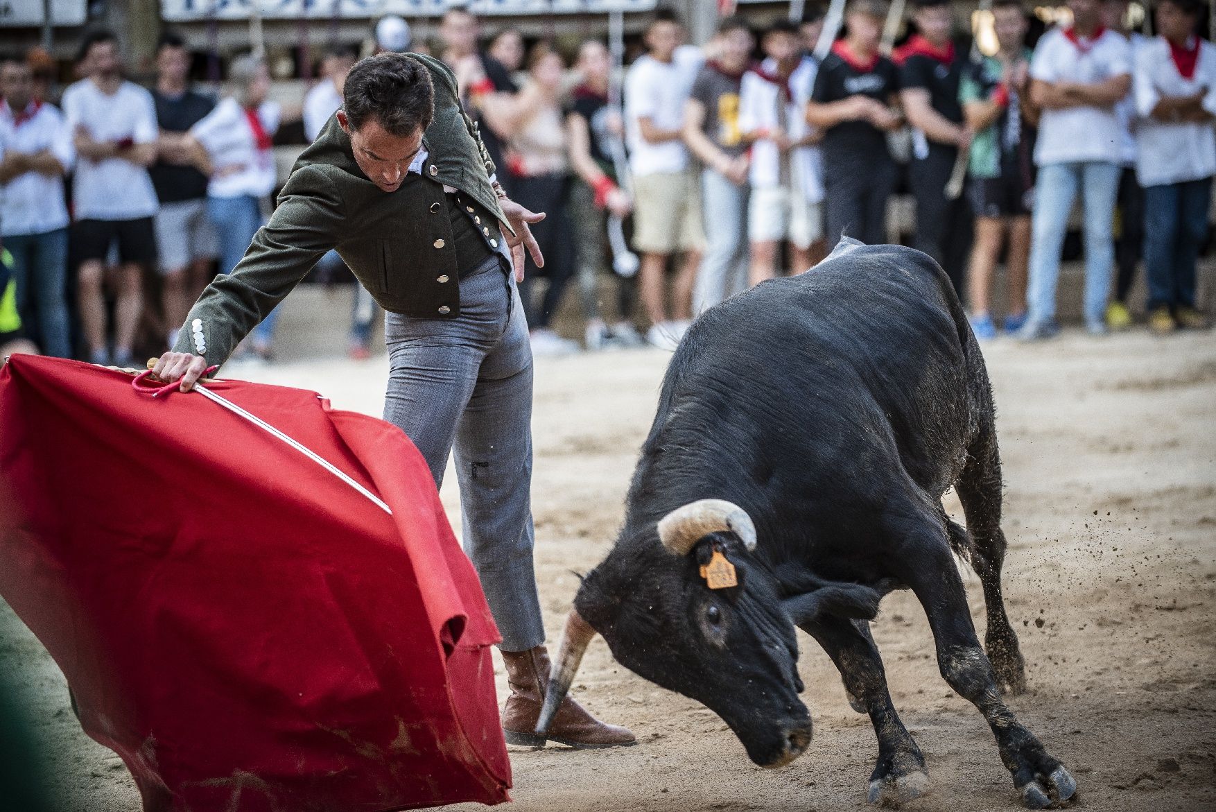 Corre de bous de Cardona