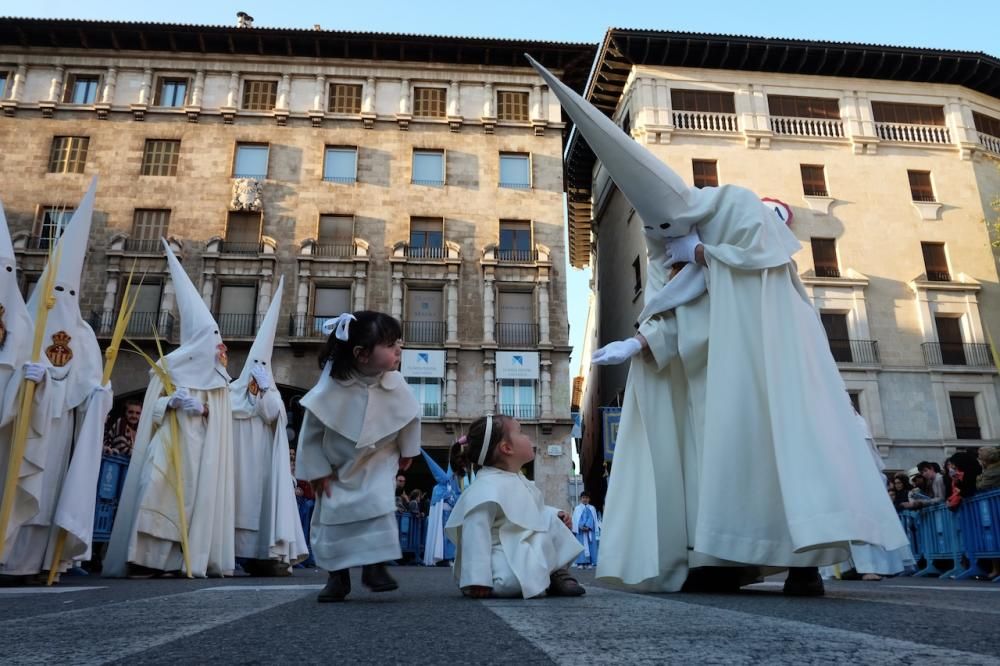 Procesión del Domingo de Ramos en Palma