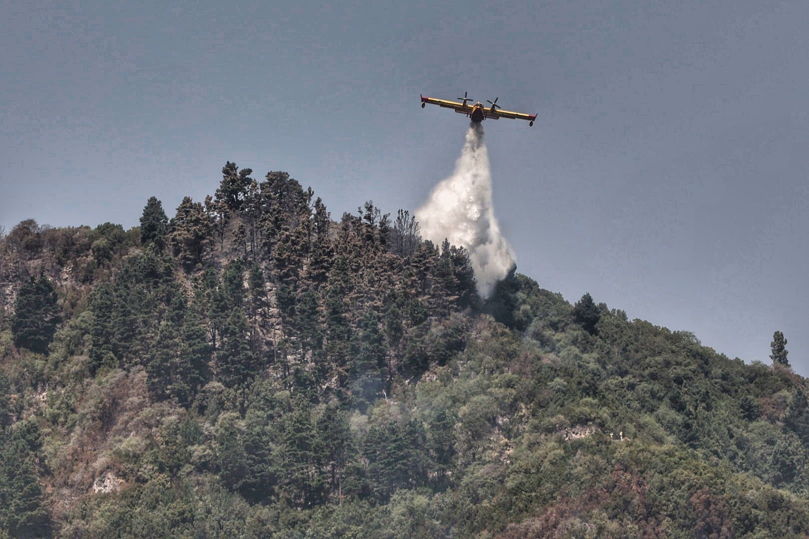 Siguen las tareas de extinción del incendio de Tenerife