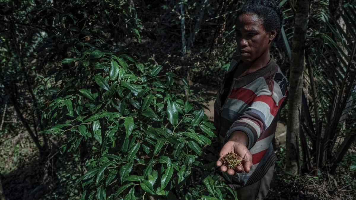 La crisis de los fertilizantes agrava la presión sobre el campo y pone en riesgo la seguridad alimentaria mundial