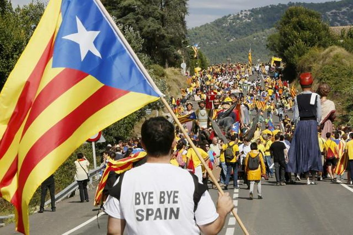 Un home porta una estelada al pas de la Via Catalana entre les poblacions d’Avinyonet del Penedès i Cantallops.