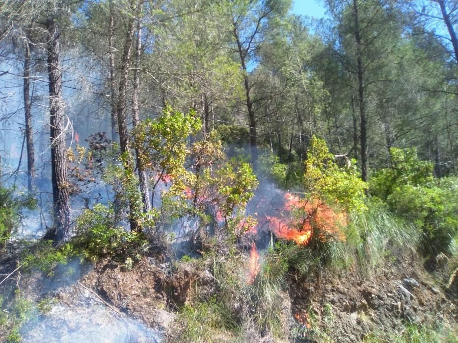 Waldbrand bei Puigpunyent