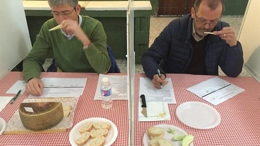 Cuatro quesos cacereños ganan la Cata del Concurso de la Feria de Trujillo