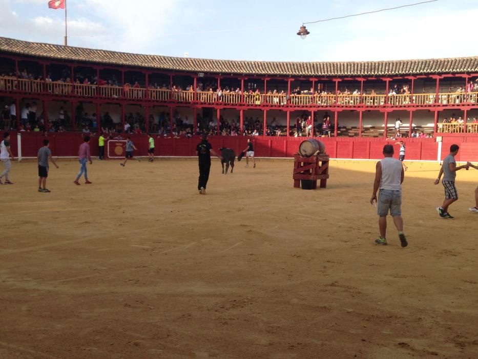 Fiestas Toro- concurso de jóvenes cortadores