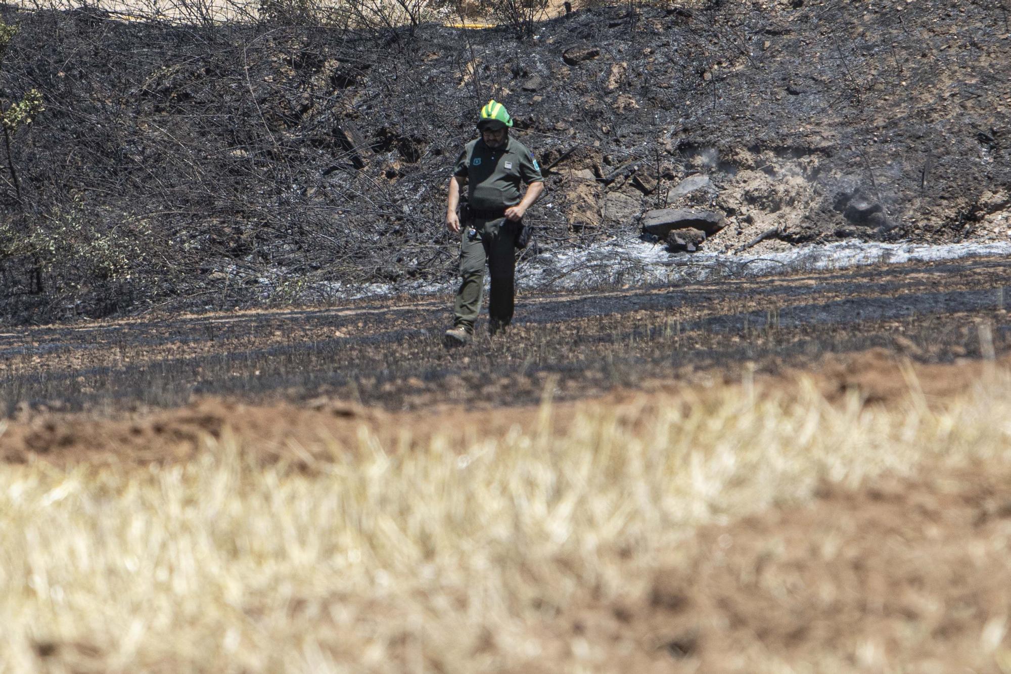 Incendi forestal a Sils, en fotos