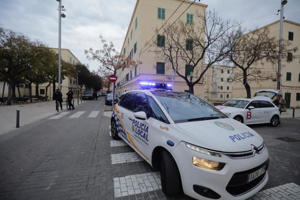 Redada antidroga en Verge de Lluc en Palma