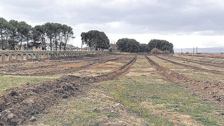 Ejea recibe el sello Compenso por su proyecto &#039;Bosquetes&#039;