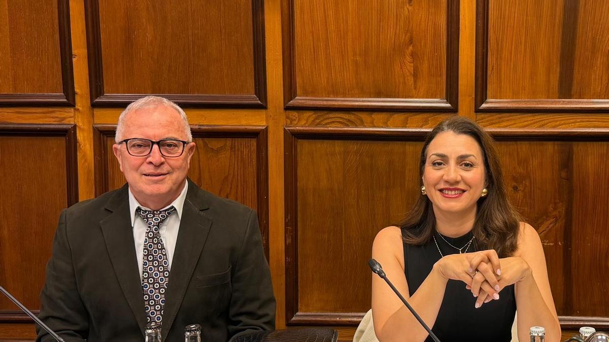 Foto del consejero Carlos Culebras y la consejera y portavoz de CC, Vidina Cabrera durante el último pleno.