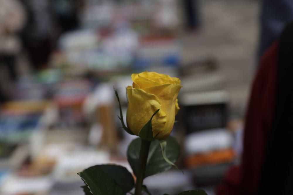 Palma celebra Sant Jordi