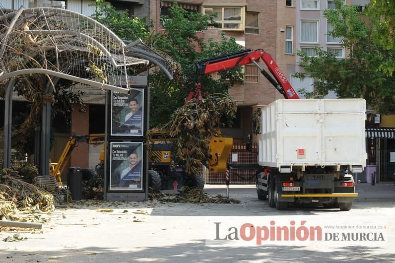 El día después de la caída de la rama del ficus de