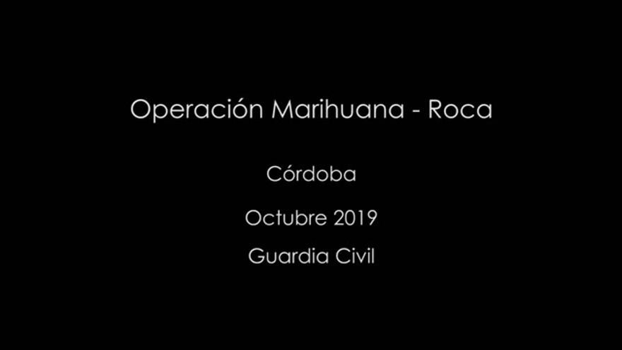 Vídeo de la operación de la Guardia Civil con droga en la A-4