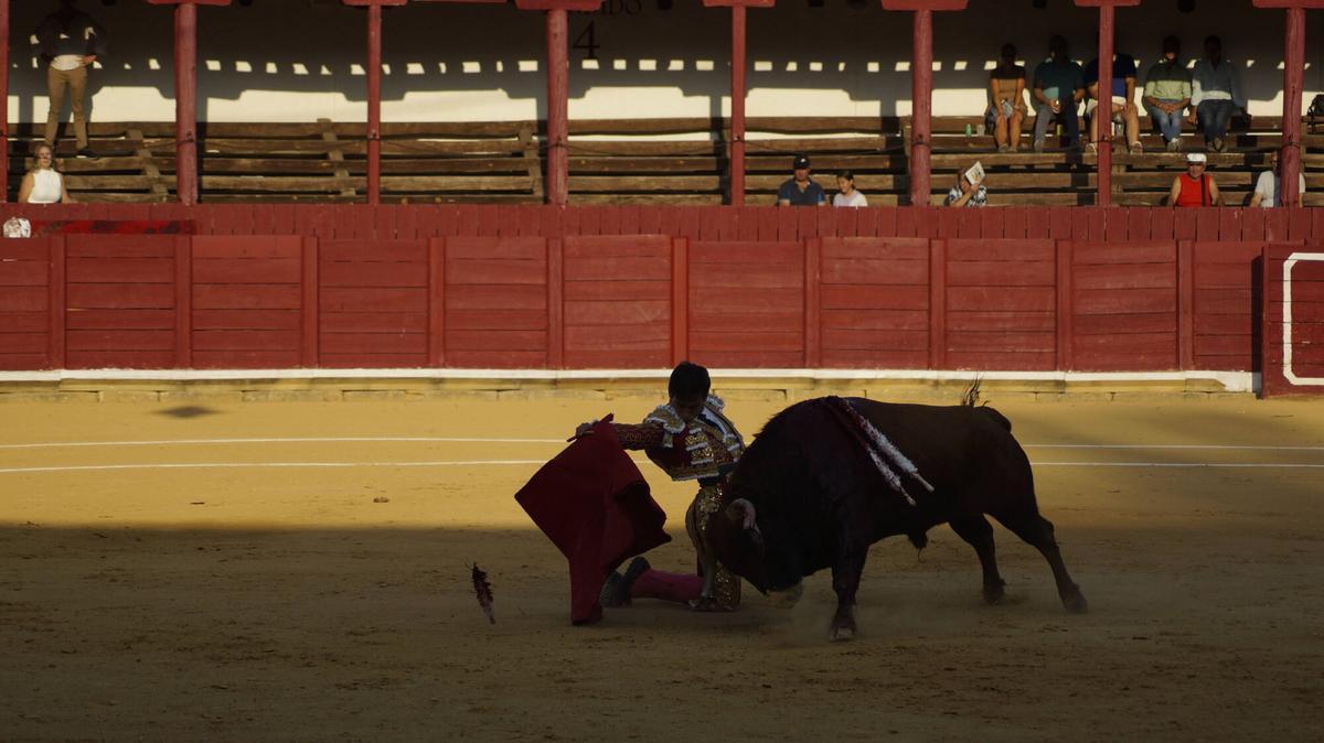 Ismael Martín abrió la triple puerta grande de la plaza de toros de Toro junto a sus compañeros de terna, Alejandro Talavante y Tomás Rufo, en un encierro de presencia y juego desigual de El Vellosino